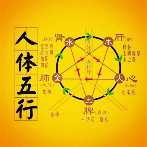 乙亥五行 極陰子